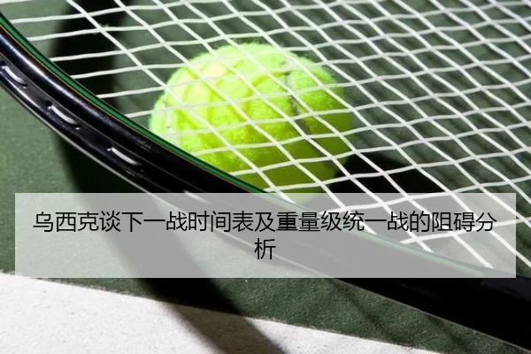 乌西克谈下一战时间表及重量级统一战的阻碍分析